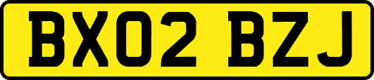 BX02BZJ