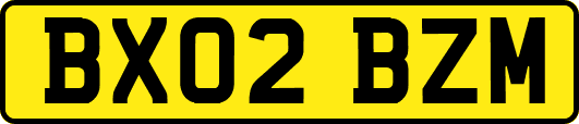 BX02BZM