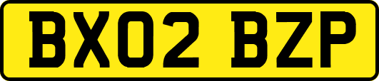 BX02BZP