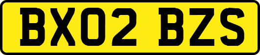 BX02BZS