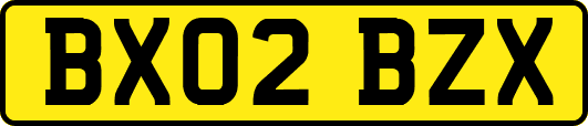 BX02BZX