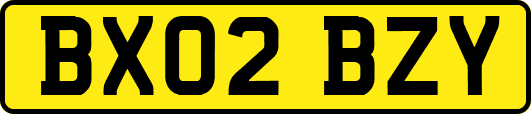 BX02BZY