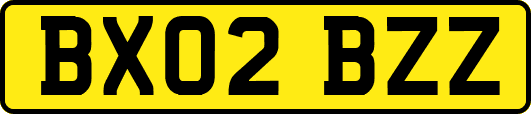 BX02BZZ