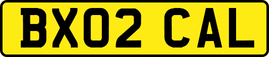 BX02CAL