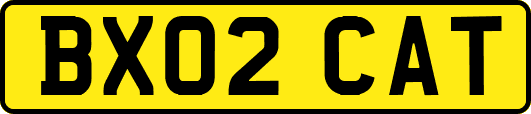 BX02CAT