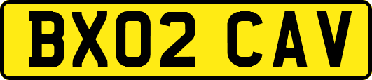 BX02CAV