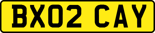 BX02CAY
