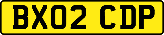 BX02CDP