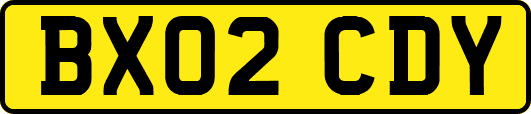 BX02CDY