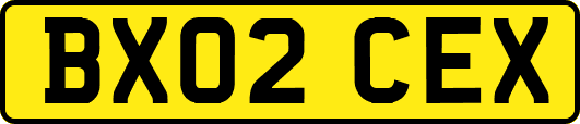 BX02CEX