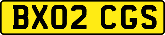 BX02CGS