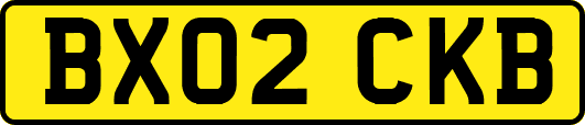 BX02CKB