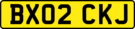 BX02CKJ