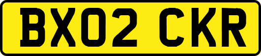 BX02CKR