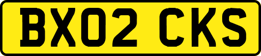 BX02CKS