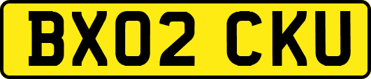 BX02CKU