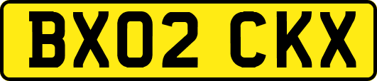 BX02CKX