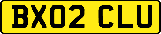 BX02CLU