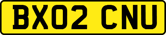 BX02CNU