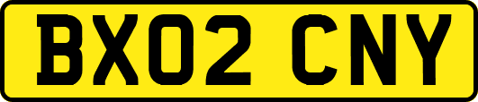 BX02CNY