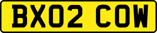 BX02COW