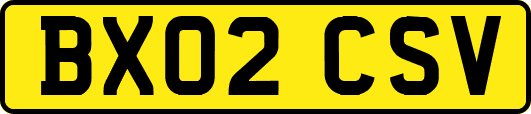 BX02CSV