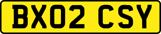BX02CSY