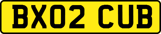 BX02CUB
