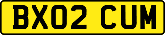 BX02CUM