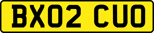BX02CUO