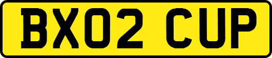 BX02CUP