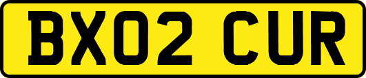 BX02CUR