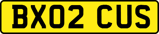 BX02CUS