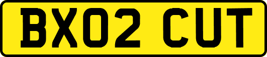 BX02CUT
