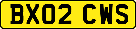 BX02CWS
