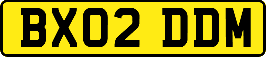 BX02DDM