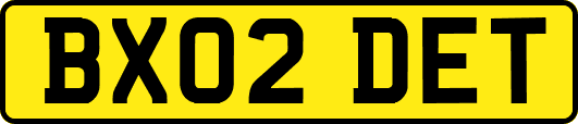 BX02DET