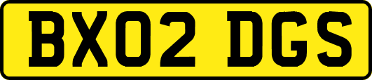 BX02DGS