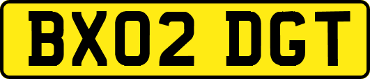 BX02DGT