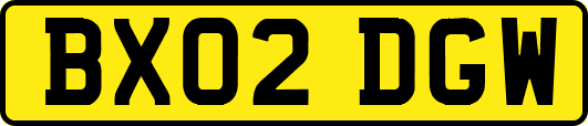 BX02DGW