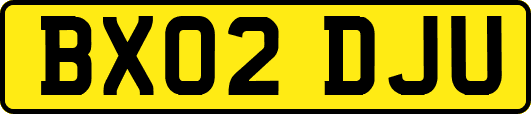 BX02DJU