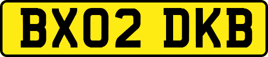 BX02DKB