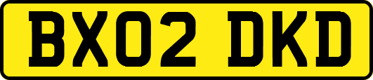 BX02DKD