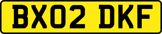 BX02DKF