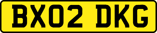 BX02DKG