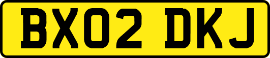 BX02DKJ