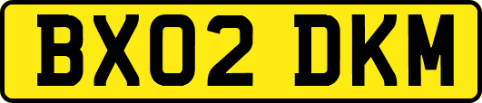 BX02DKM