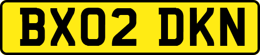 BX02DKN