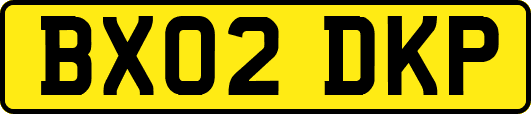 BX02DKP