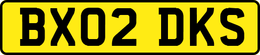 BX02DKS